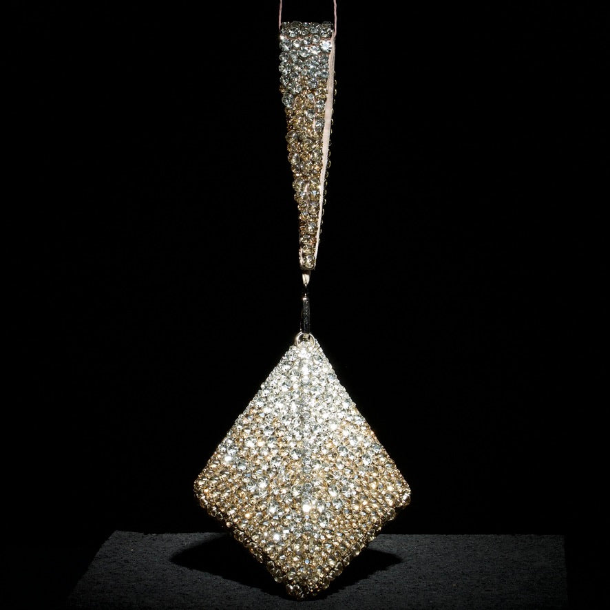 Pranay Jaitly with Gold Silver Pyramid Bag