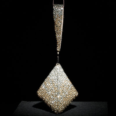 Pranay Jaitly with Gold Silver Pyramid Bag